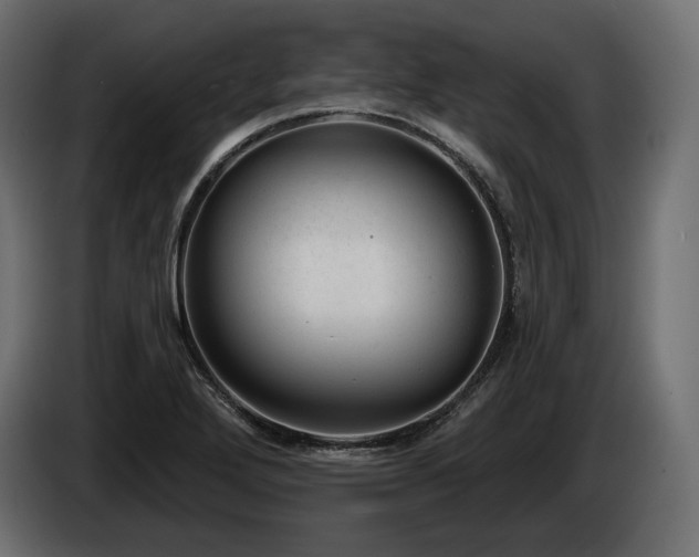 X0000085041272200703051343