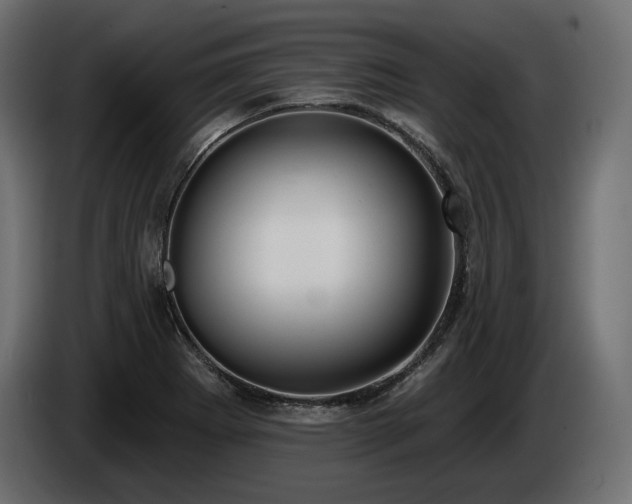 X0000085041273200703051343