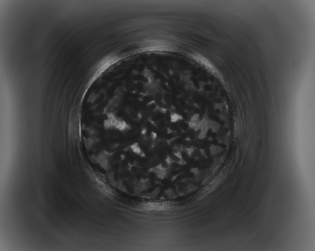 X0000085041274200703051343