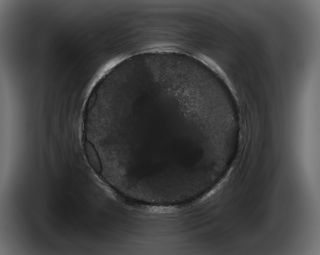 X0000085041277200703051343