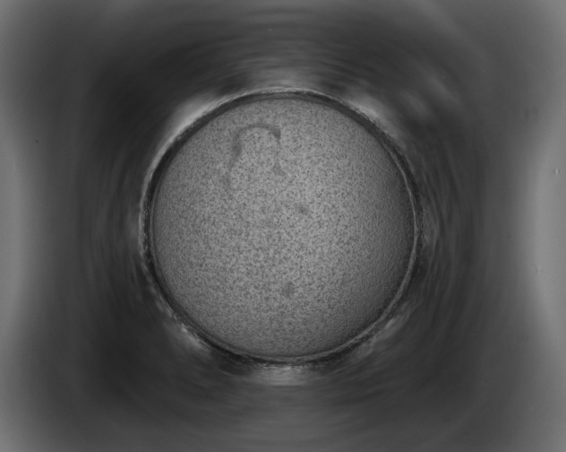 X0000085041278200703051343