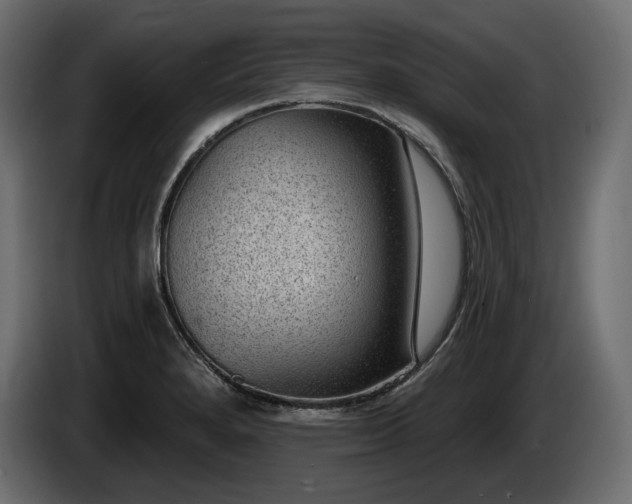 X0000085041280200703051343