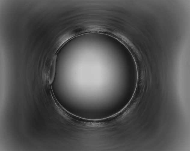 X0000085041281200703051343