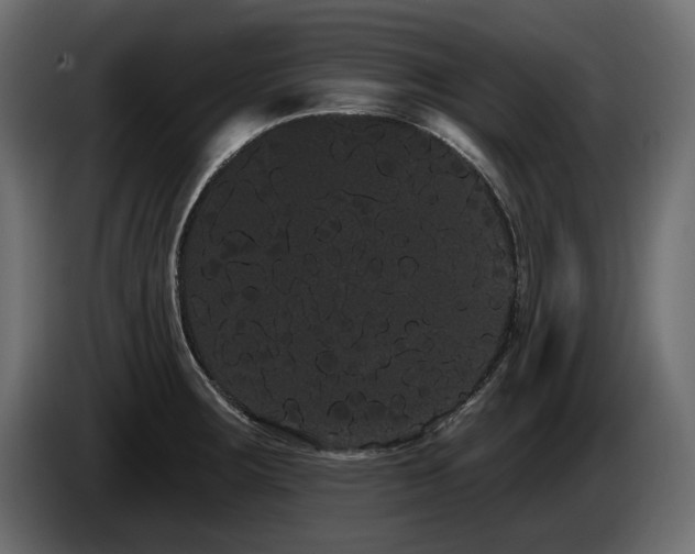 X0000085041283200703051343