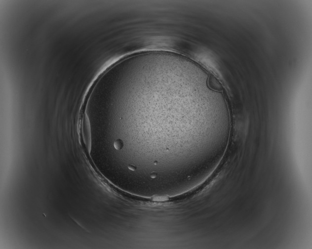 X0000085041284200703051343