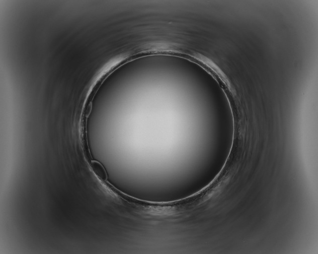 X0000085041285200703051343