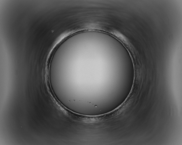 X0000085041286200703051343