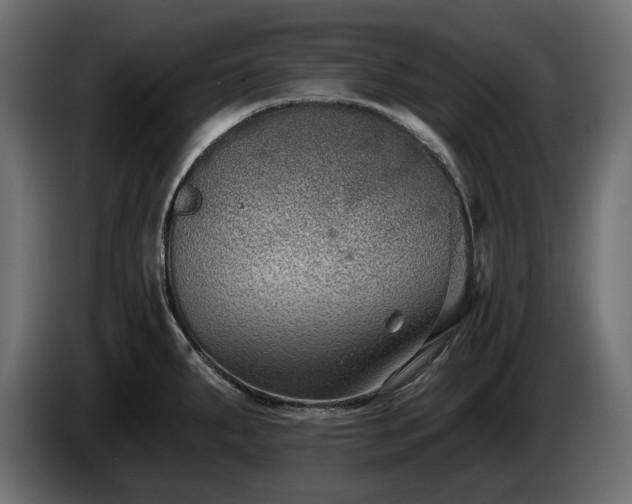 X0000085041287200703051343