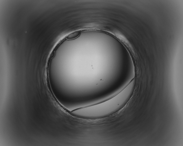 X0000085041288200703051343