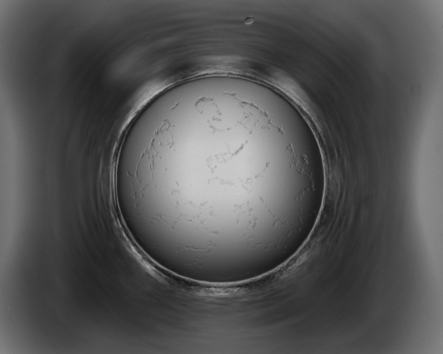 X0000085041290200703051343