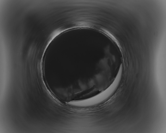X0000085041291200703051343