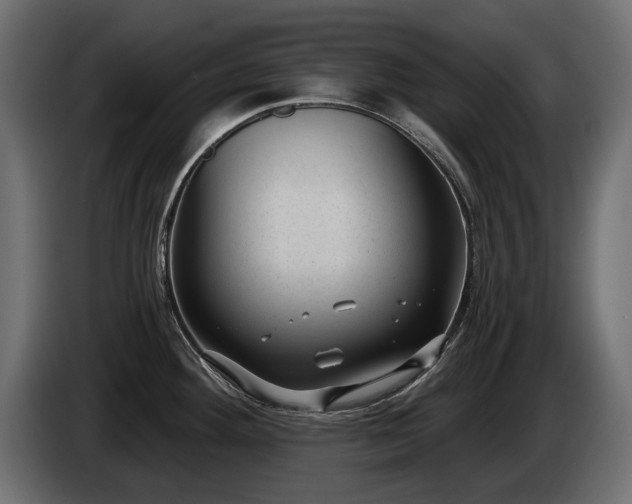 X0000085041292200703051343