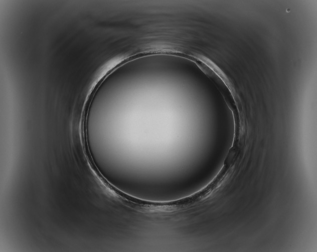 X0000085041293200703051342