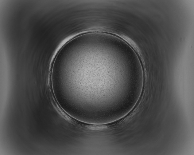 X0000085041296200703051342