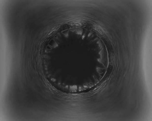 X0000085041297200703051342
