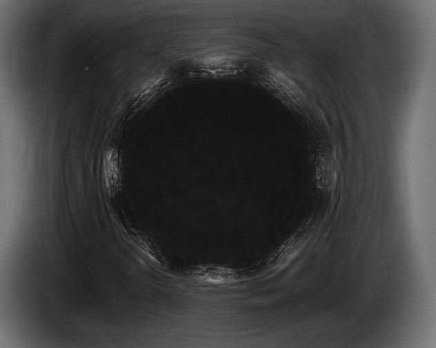 X0000085041298200703051342