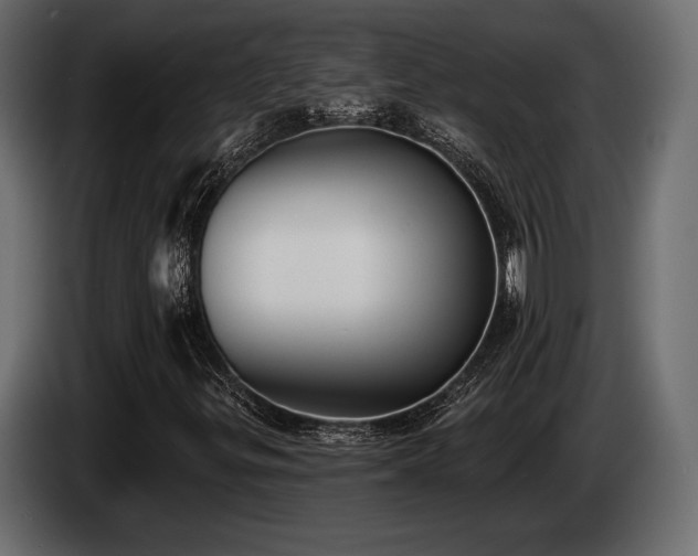 X0000085041299200703051342