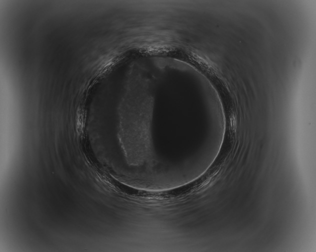 X0000085041300200703051342