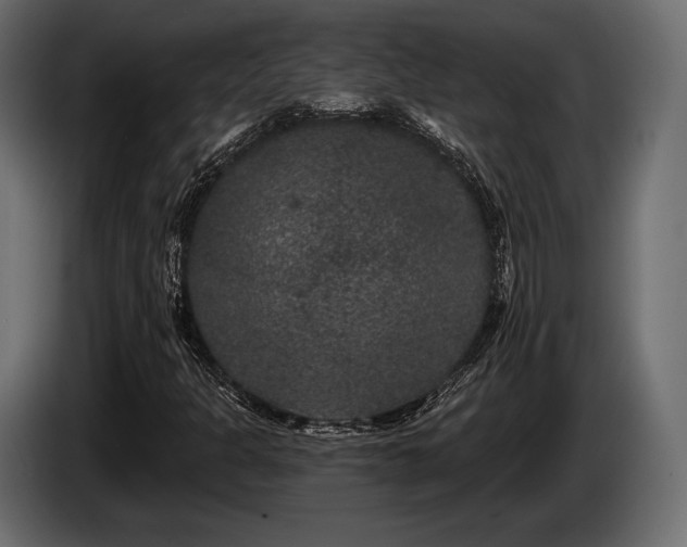 X0000085041301200703051342
