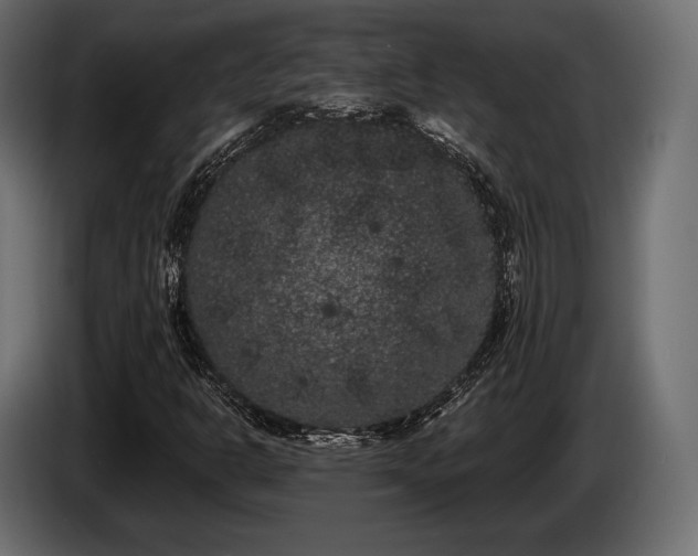 X0000085041302200703051342