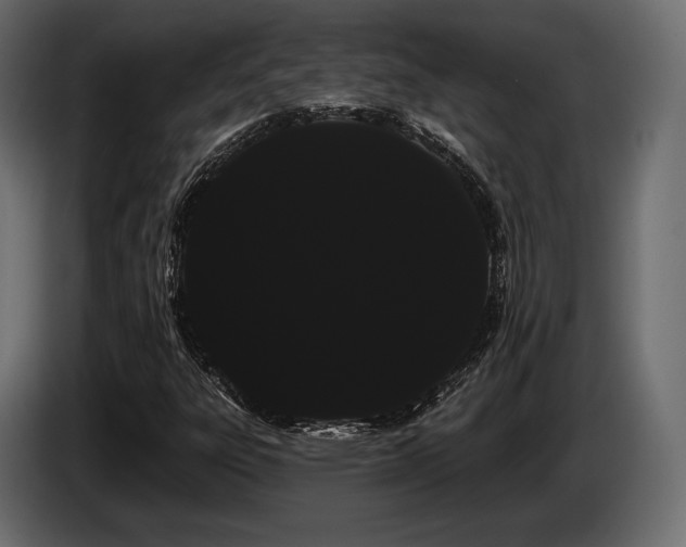 X0000085041303200703051342