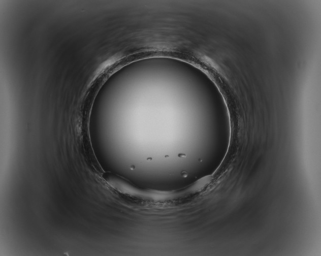 X0000085041307200703051342