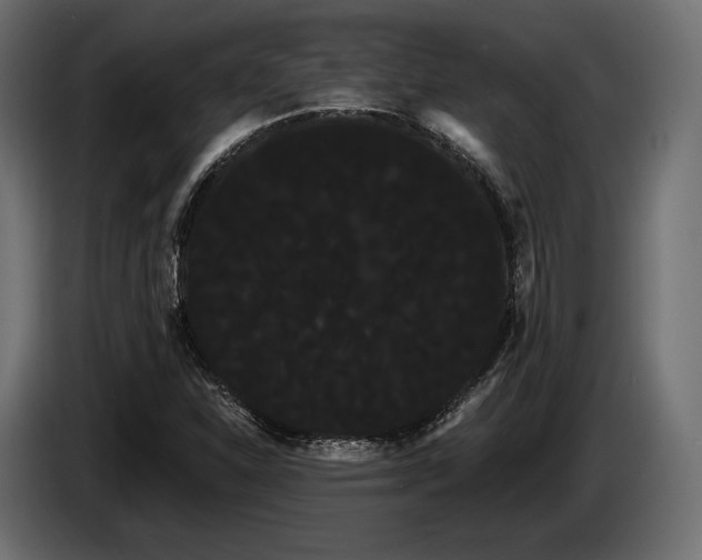 X0000085041310200703051342