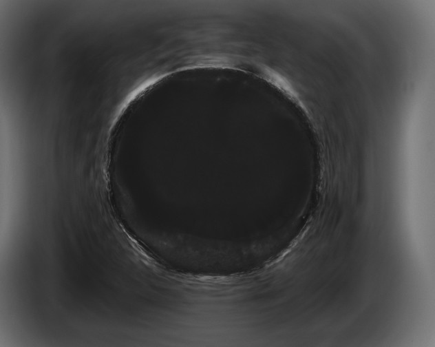 X0000085041312200703051342