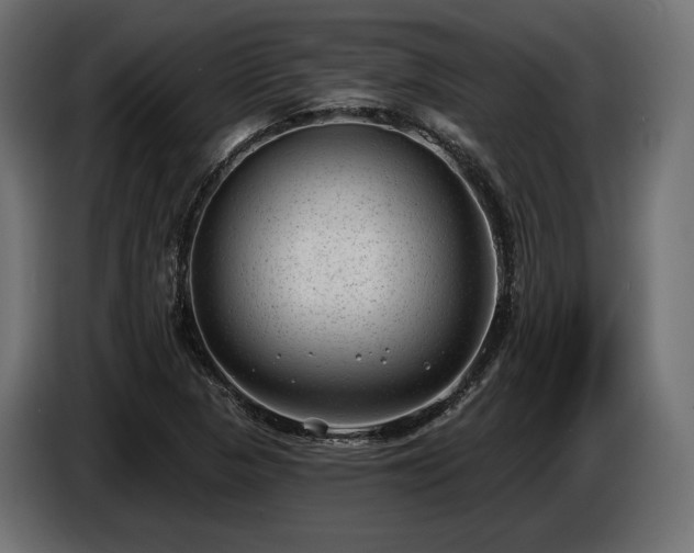 X0000085041313200703051342