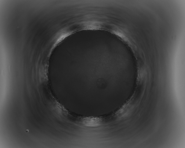 X0000085041314200703051342