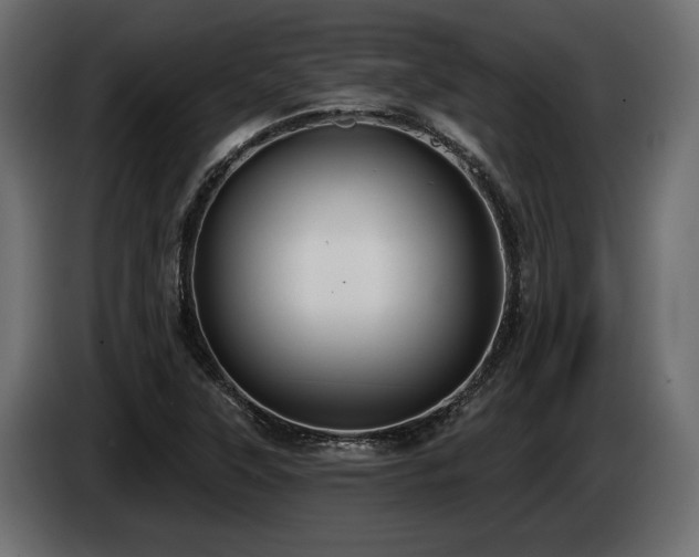 X0000085041315200703051342