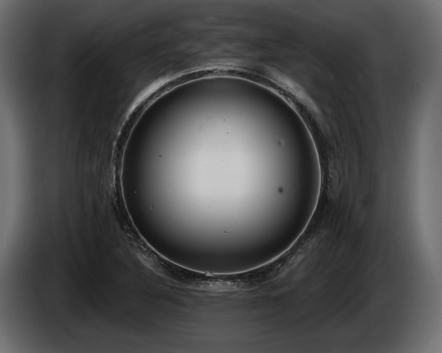 X0000085041316200703051342