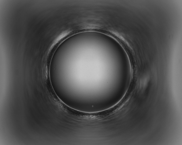 X0000085041317200703051342