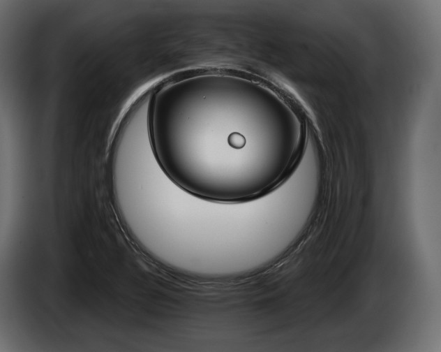 X0000085041320200703051342