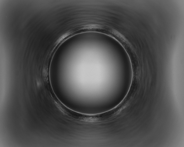 X0000085041321200703051342
