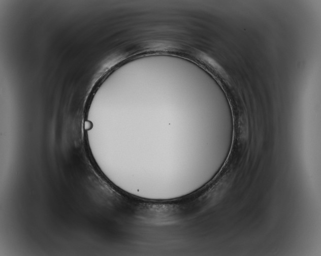 X0000085041322200703051342