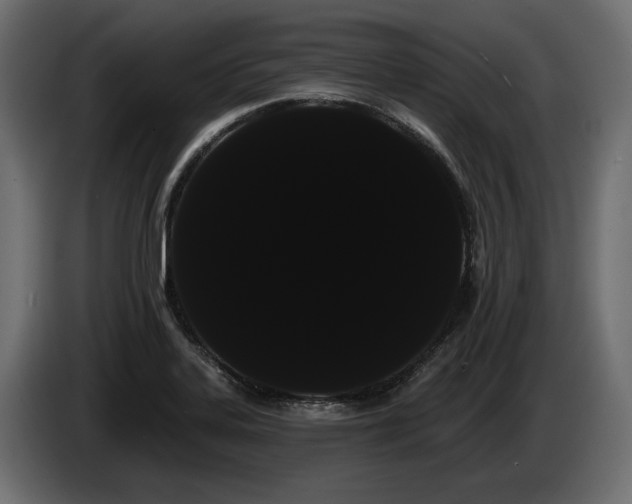 X0000085041323200703051342