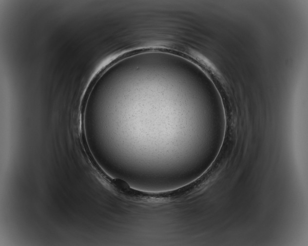 X0000085041324200703051342