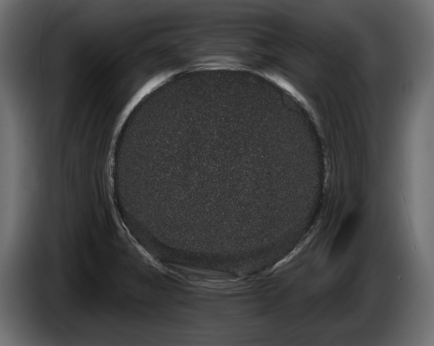 X0000085041325200703051342