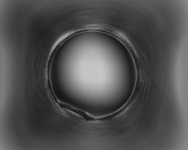 X0000085041328200703051342