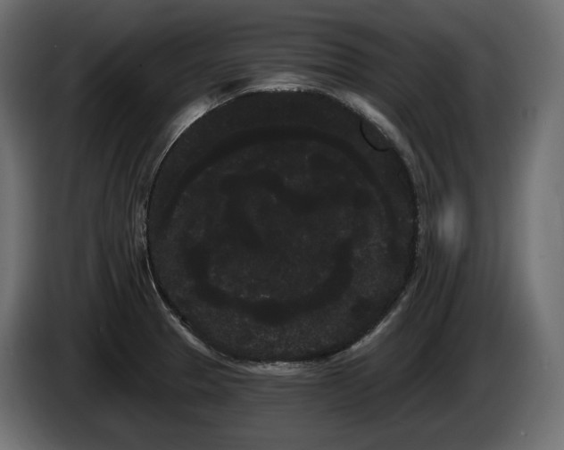 X0000085041329200703051342