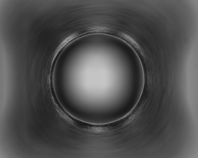 X0000085041330200703051342
