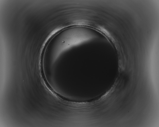 X0000085041331200703051342
