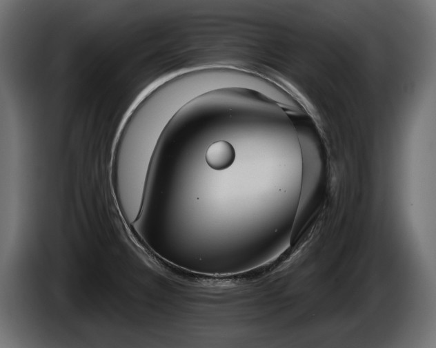 X0000085041332200703051342