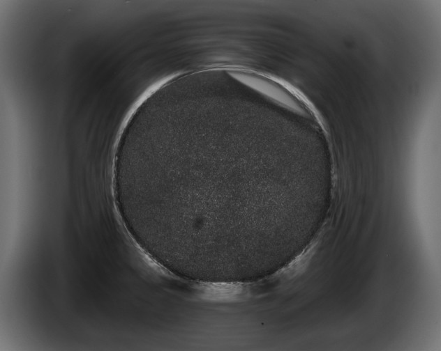 X0000085041333200703051342