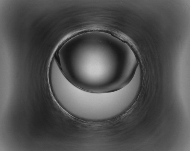 X0000085041334200703051342