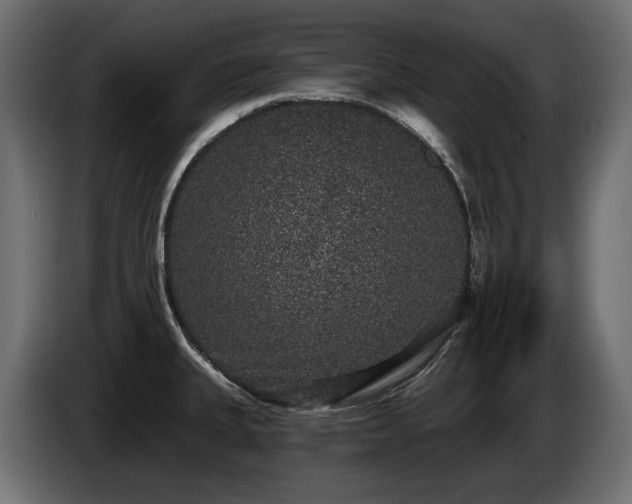 X0000085041335200703051342