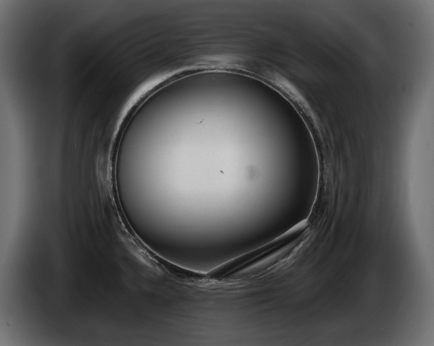 X0000085041336200703051342