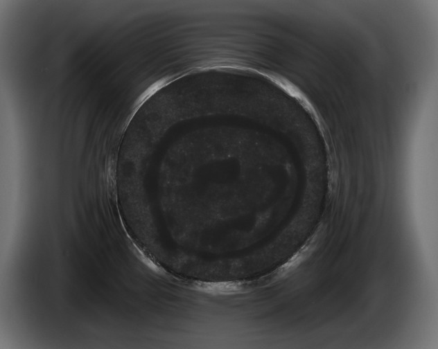 X0000085041337200703051342