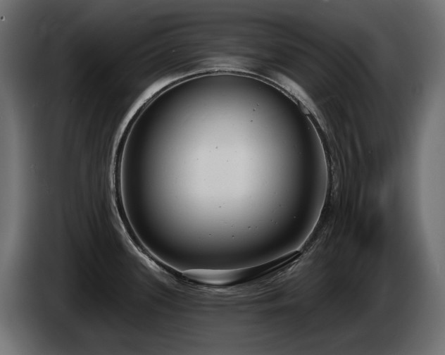 X0000085041339200703051342
